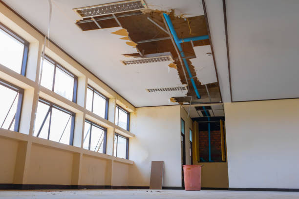 Best Water damage restoration company  in Cade, LA