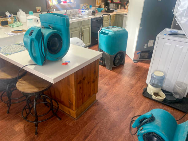 Best Carpet water damage restoration  in Cade, LA