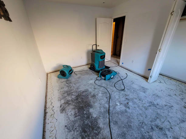 Best Water damage cleanup near me  in Cade, LA