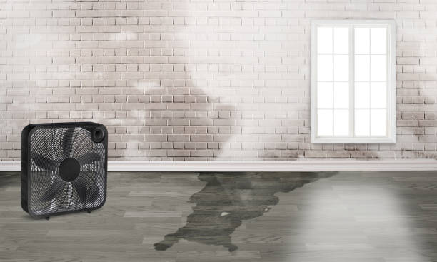  Cade, LA Water damage restoration Pros